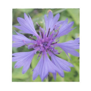 Hübsche blaue Kornblume Notizblock