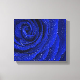 Hübsche blaue Rose Blume am Morgen Leinwanddruck