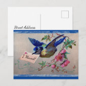 Hübsche Blaue Vogel Ich zog Postkarte (Vorne/Hinten)