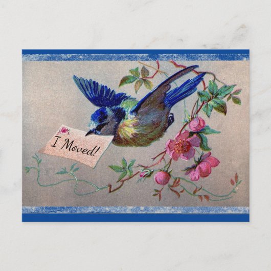 Hübsche Blaue Vogel Ich zog Postkarte (Vorderseite)