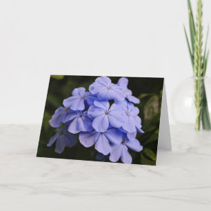 Hübsche Blue Tropical Blume - Note Card Karte