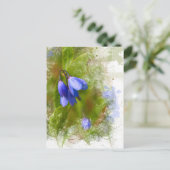 Hübsche Bluebells auf weiß Postkarte (Stehend Vorderseite)