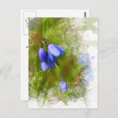 Hübsche Bluebells auf weiß Postkarte (Vorne/Hinten)