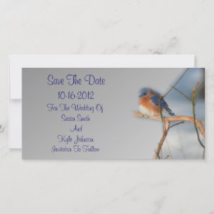 Hübsche Bluebird-Hochzeit Save The Date