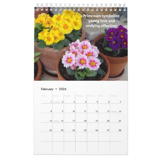 Hübsche Blume 12 Monate Kalender (Feb 2026)
