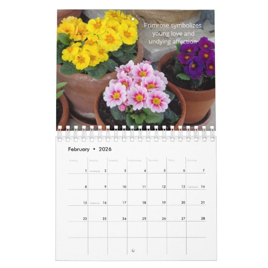 Hübsche Blume 12 Monate Kalender (Feb 2026)