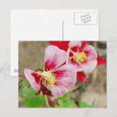 HÜBSCHE BLUME 2 POSTKARTE (Vorne/Hinten)
