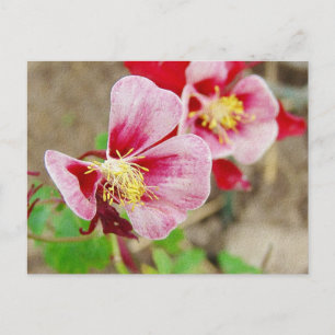 HÜBSCHE BLUME 2 POSTKARTE