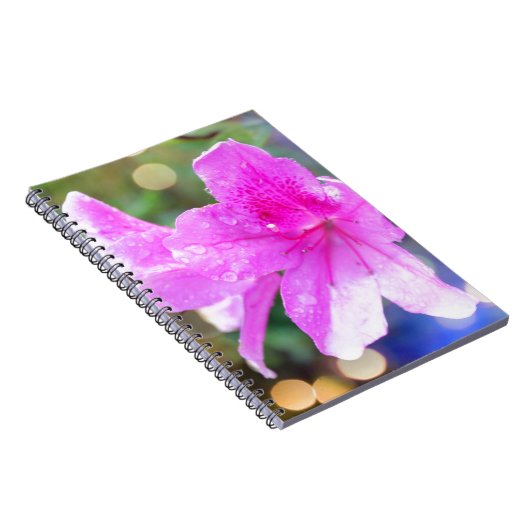 Hübsche Blume aus rosa Garten. Pflanzenbotanisches Notizblock (Rechte Seite)