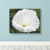 Hübsche Blume Canvas Leinwanddruck (Insitu (Holzboden))