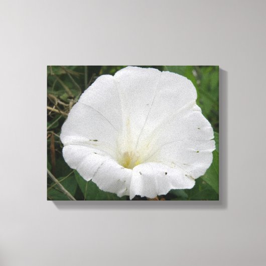 Hübsche Blume Canvas Leinwanddruck (Vorderseite)