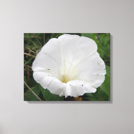 Hübsche Blume Canvas Leinwanddruck (Vorderseite)