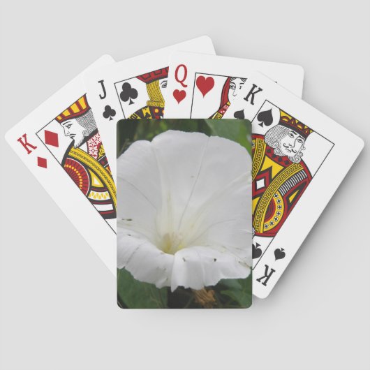 Hübsche Blume Convolvula Spielkarten (Rückseite)