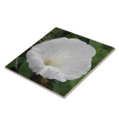 Hübsche Blume Convolvula Tile Fliese (Seite)