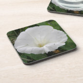 Hübsche Blume Convolvulus Cork Untersetzer (Linke Seite)
