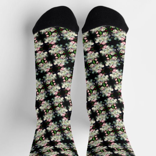 Hübsche Blume Crabappapapfelfrühling Nah Socken (Oben)