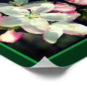 Hübsche Blume Crabappapfel blüht Abstrakt Poster (Ecke)