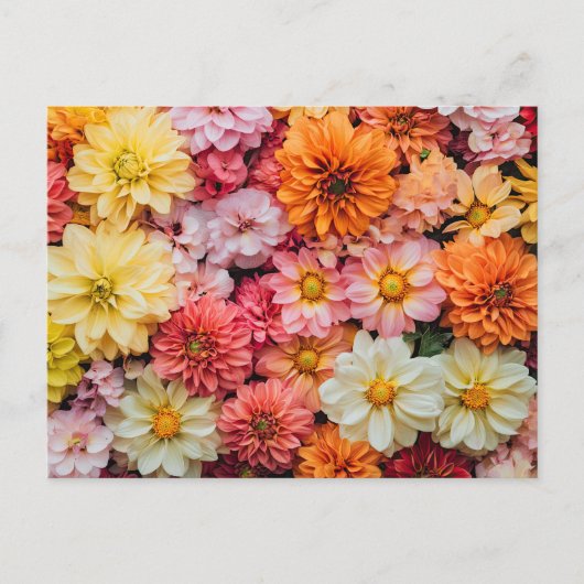 Hübsche Blume farbenfrohe Blumenmuster Schöne Auss Postkarte (Vorderseite)