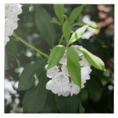 Hübsche Blume Fliese (Vorderseite)