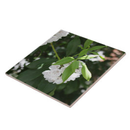 Hübsche Blume Fliese