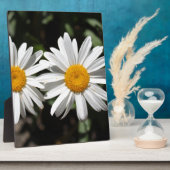 Hübsche Blume Fotoplatte (Seite)