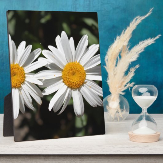 Hübsche Blume Fotoplatte (Seite)