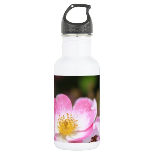 hübsche Blume für die wilde Rose Edelstahlflasche (Vorderseite)