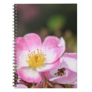 hübsche Blume für die wilde Rose Notizblock