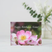 hübsche Blume für die wilde Rose Postkarte (Stehend Vorderseite)