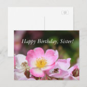 hübsche Blume für die wilde Rose Postkarte (Vorne/Hinten)