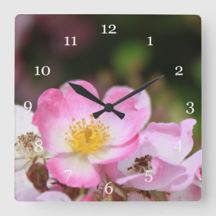 hübsche Blume für die wilde Rose Quadratische Wanduhr
