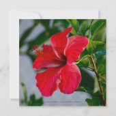 Hübsche Blume Geburtstagspartei Einladung (Rückseite)