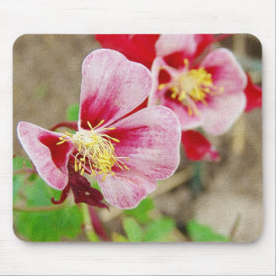 Hübsche Blume Kolumbin Mousepad