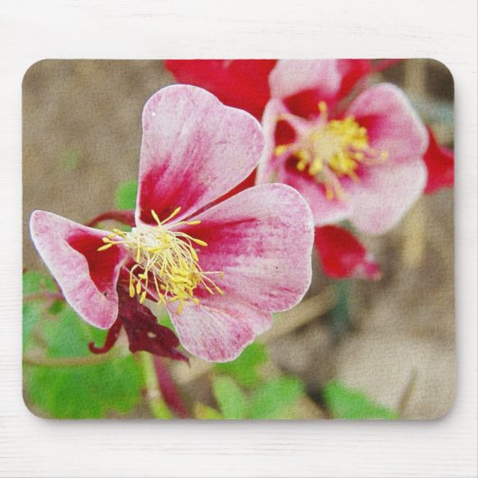 Hübsche Blume Kolumbin Mousepad (Vorne)