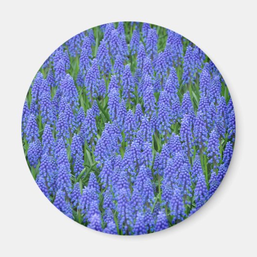 Hübsche Blume Magnet (Vorne)