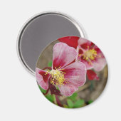 Hübsche Blume Magnet (Vorderseite/Rückseite)
