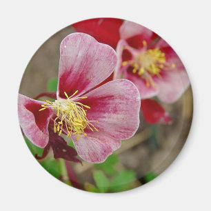 Hübsche Blume Magnet