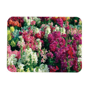 hübsche Blume Magnet