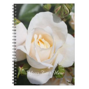 hübsche Blume mit weißer Rose. Liebe, Romantik Notizblock