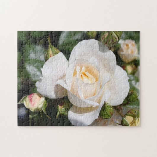 hübsche Blume mit weißer Rose. Liebe, Romantik Puzzle (Horizontal)