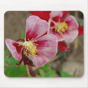 Hübsche Blume Mousepad