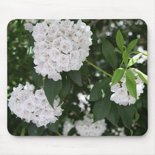 Hübsche Blume Mousepad (Vorne)