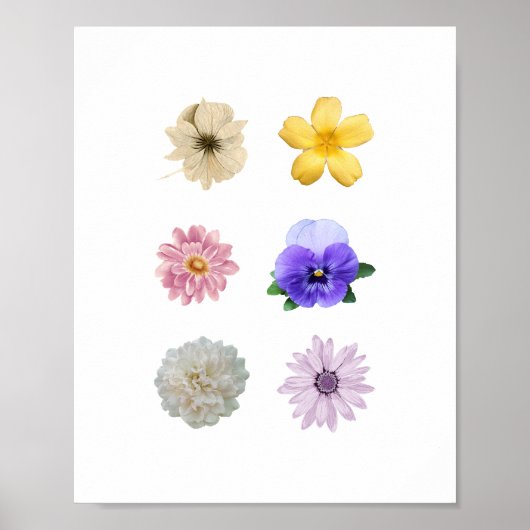 Hübsche Blume Poster (Vorne)