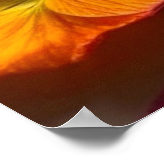 Hübsche Blume Poster (Ecke)