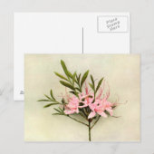 Hübsche Blume Postkarte (Vorne/Hinten)