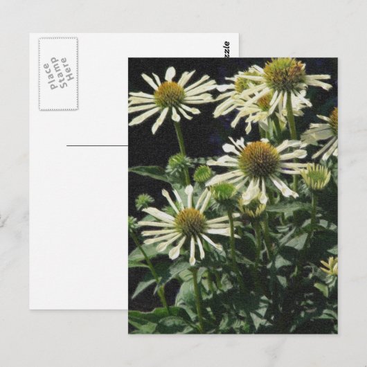 Hübsche Blume Postkarte (Vorne/Hinten)