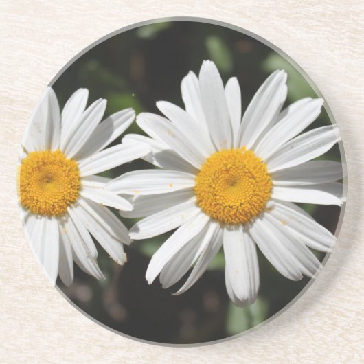 Hübsche Blume Sandstein Untersetzer (Vorne)