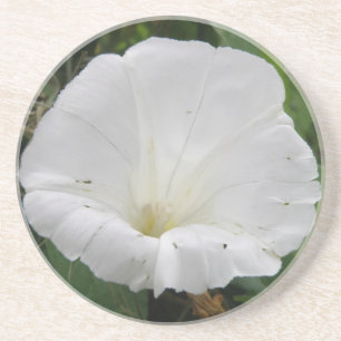 Hübsche Blume Untersetzer