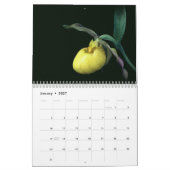 Hübsche Blumen Kalender (Jan 2027)