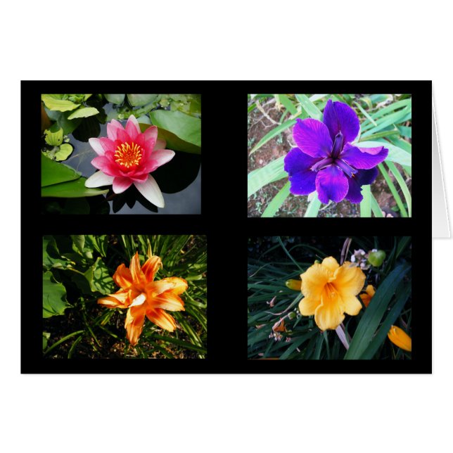 Hübsche Blumen, leer (Vorderseite (Horizontal))